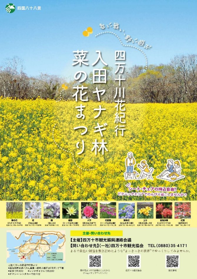四万十川沿い入田ヤナギ林　菜の花まつり